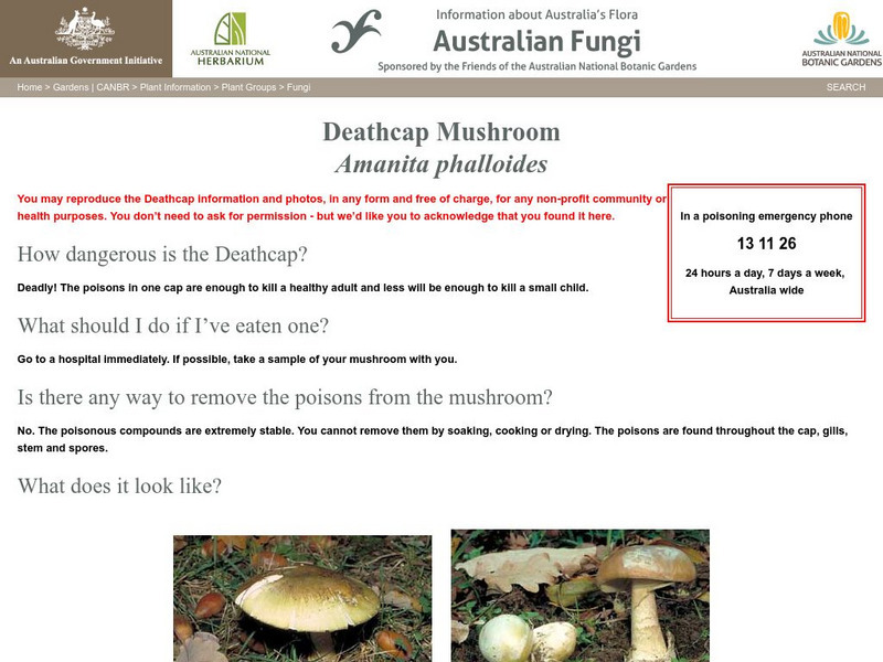 Australian Government; Deathcap Mushroom Handout Australian Government; Deathcap Mushroom Handout