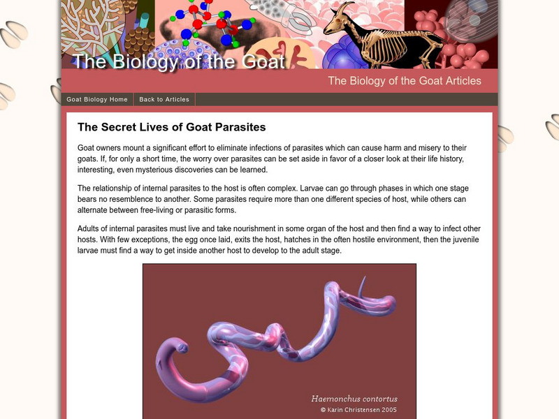 Biology of the Goat: Internal Parasites Website Biology of the Goat: Internal Parasites Website