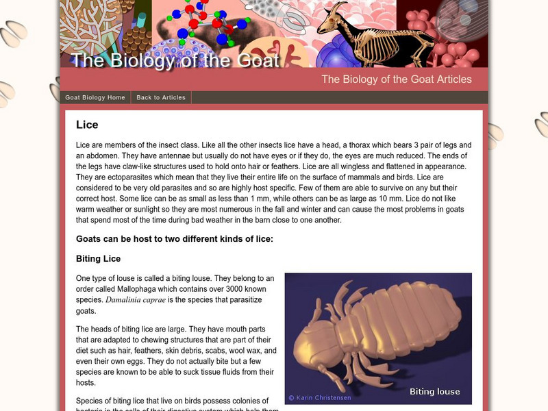 Biology of the Goat: External Parasites Lice Website Biology of the Goat: External Parasites Lice Website