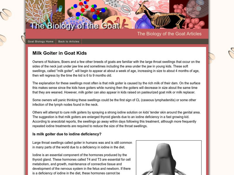 Biology of the Goat: Milk Goiter Website Biology of the Goat: Milk Goiter Website