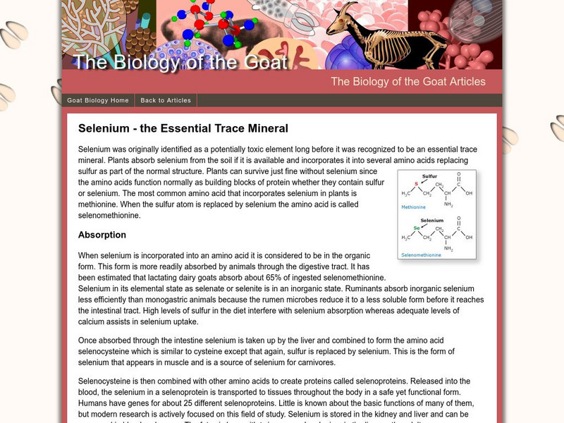 Biology of the Goat: Selenium the Essential Trace Mineral Website Biology of the Goat: Selenium the Essential Trace Mineral Website