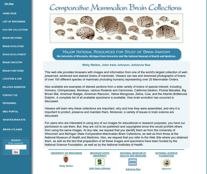 National Museum of Health and Medicine: Comparative Mammalian Brain Collections Website National Museum of Health and Medicine: Comparative Mammalian Brain Collections Website