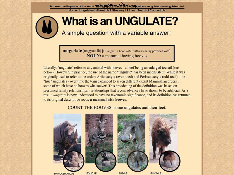 Ultimate Ungulates: What Is an Ungulate? Handout