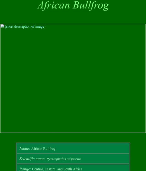 Who Zoo: African Bullfrog Handout