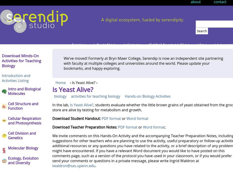 Serendip: Is Yeast Alive? Activity Serendip: Is Yeast Alive? Activity