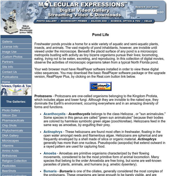 Florida State University: Pond Life Handout Florida State University: Pond Life Handout