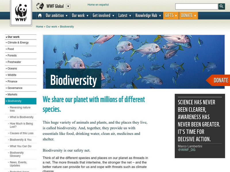 Wwf: Our Earth: Biodiversity: The Magic of Our Planet Website Wwf: Our Earth: Biodiversity: The Magic of Our Planet Website