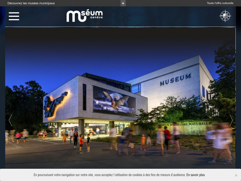 Natural History Museum of Geneva: The Hydrozoa Directory Handout Natural History Museum of Geneva: The Hydrozoa Directory Handout