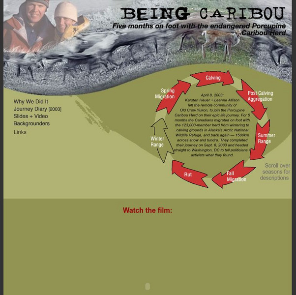 Being Caribou: Five Months on Foot With the Endangered Porcupine Caribou Herd Interactive Being Caribou: Five Months on Foot With the Endangered Porcupine Caribou Herd Interactive
