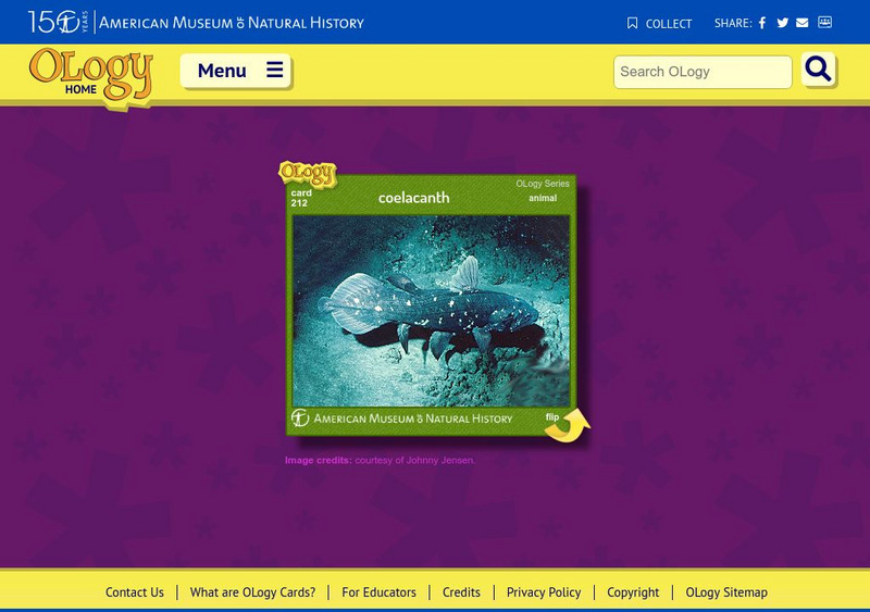 American Museum of Natural History: Coelacanth O Logy Card Interactive American Museum of Natural History: Coelacanth O Logy Card Interactive