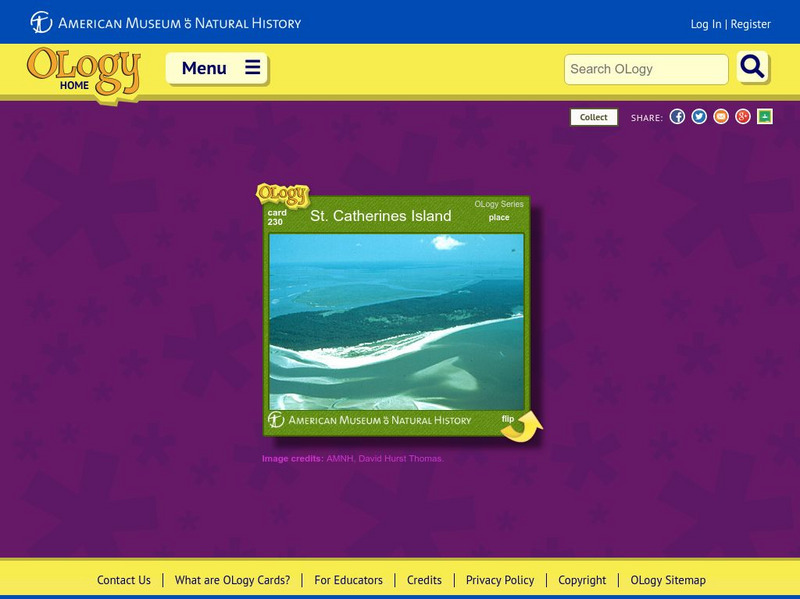 American Museum of Natural History: St. Catherines Island O Logy Card Interactive American Museum of Natural History: St. Catherines Island O Logy Card Interactive