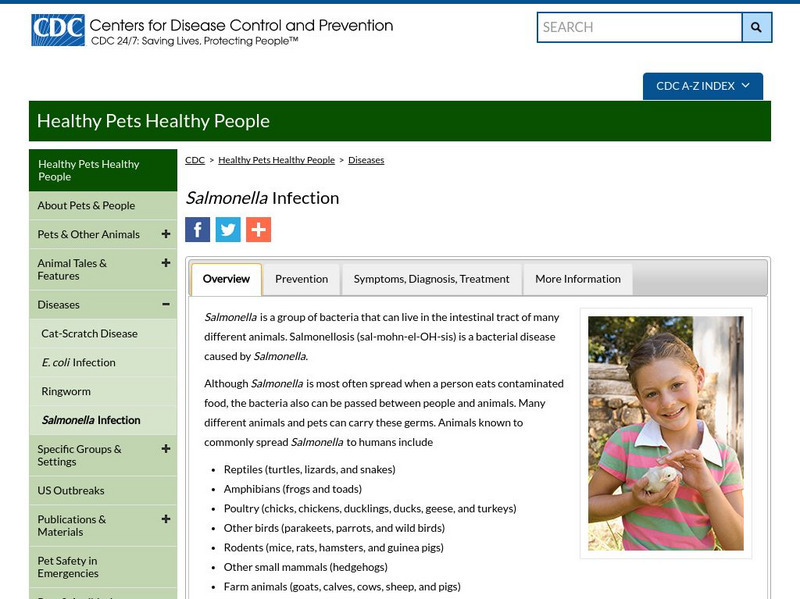 Centers for Disease Control: Healthy Pets Healthy People: Salmonella Infection Website Centers for Disease Control: Healthy Pets Healthy People: Salmonella Infection Website