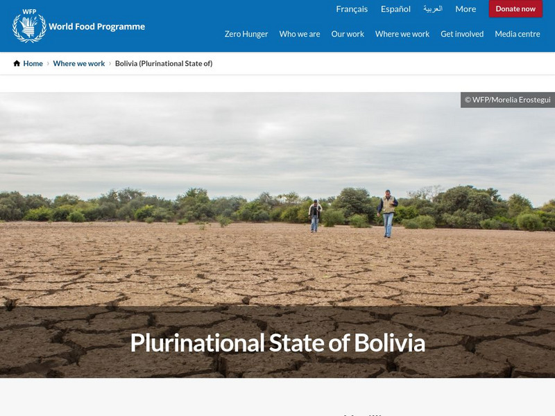 United Nations World Food Programme: Bolivia Graphic United Nations World Food Programme: Bolivia Graphic
