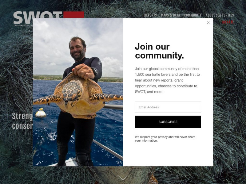 Swot: The State of the World's Sea Turtles Website Swot: The State of the World's Sea Turtles Website