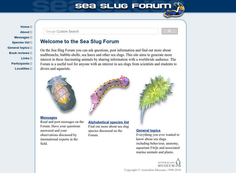Australian Museum: Sea Slug Forum Website