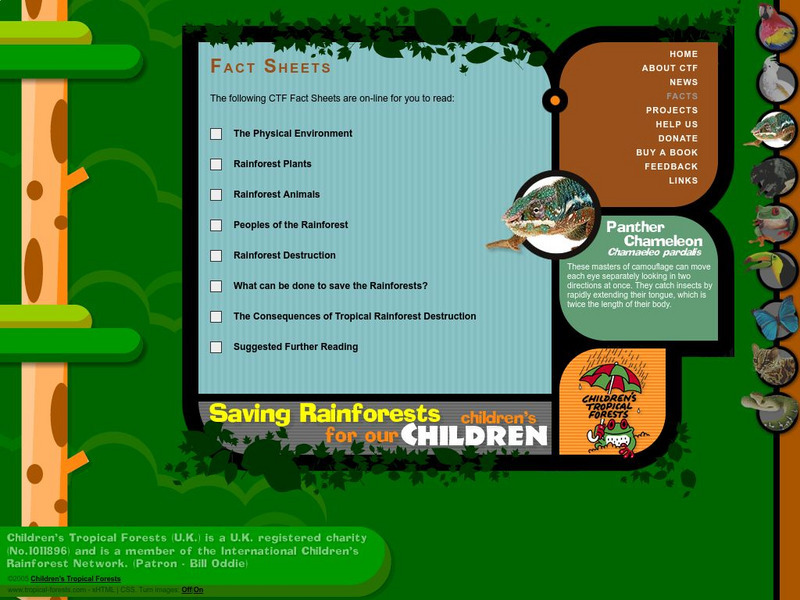 Children's Tropical Forests: Rain Forest Facts Handout Children's Tropical Forests: Rain Forest Facts Handout