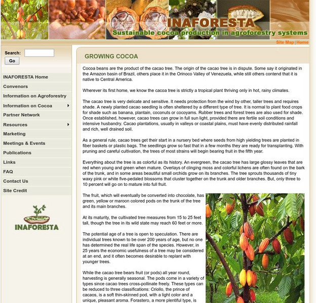 World Argoforestry Centre: Growing Cocoa Website