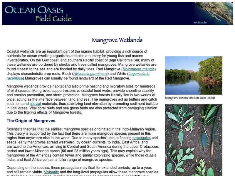 Sdnhm: Mangrove Wetlands Website