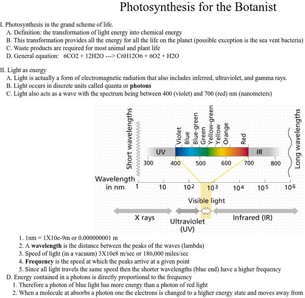 Southeastern Louisiana University: Photosynthesis Handout Southeastern Louisiana University: Photosynthesis Handout