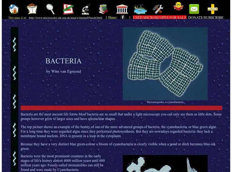 Microscopy Uk: Bacteria Handout Microscopy Uk: Bacteria Handout