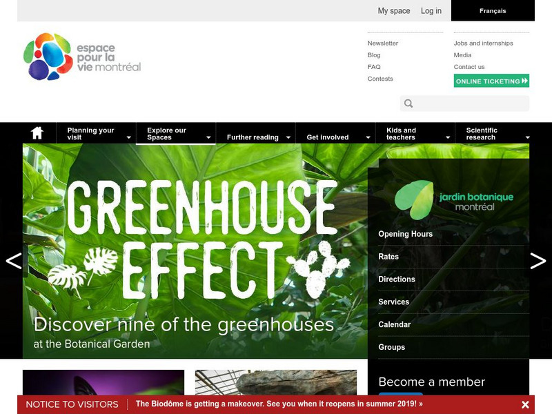 Montreal Botanical Garden Website Montreal Botanical Garden Website