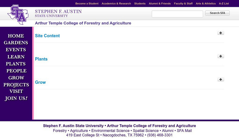 Stephen Foster Austin State University: Sfa Mast Arboretum Website Stephen Foster Austin State University: Sfa Mast Arboretum Website