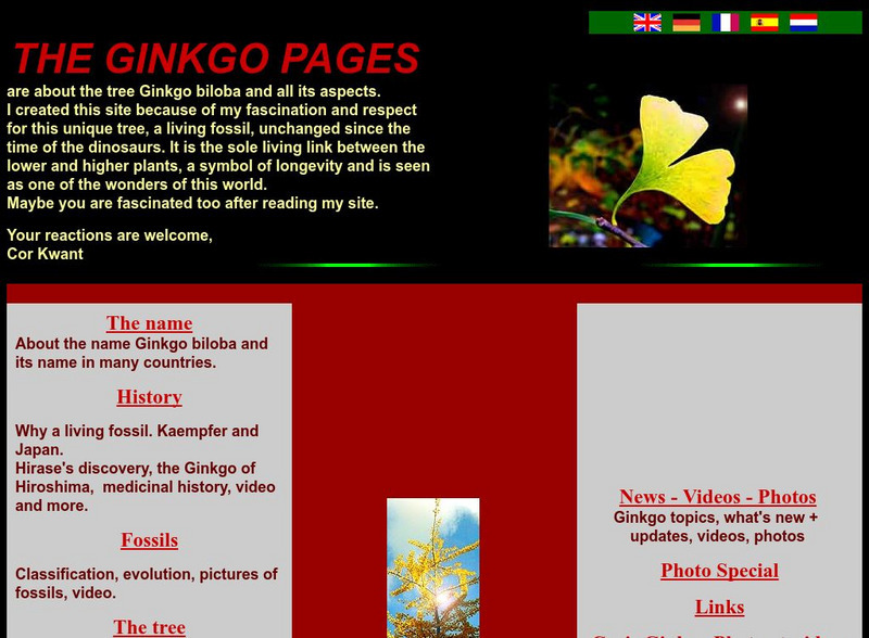 The Ginkgo Pages Website The Ginkgo Pages Website