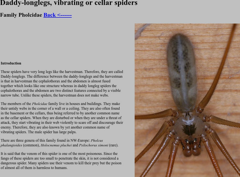 The Daddy Long Leg Unit Plan The Daddy Long Leg Unit Plan