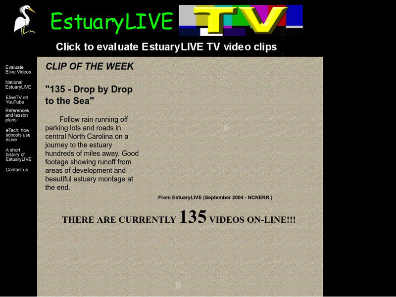 Marine Grafics: Estuary Live Website Marine Grafics: Estuary Live Website