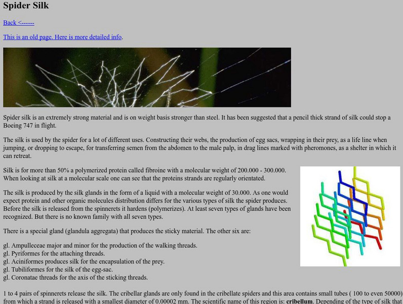 Ed Nieuwenhuys' Spiders & Immunology: Spider Silk Handout Ed Nieuwenhuys' Spiders & Immunology: Spider Silk Handout