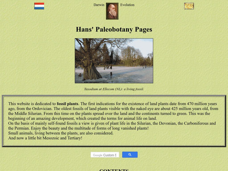 Hans' Paleobotany Pages Website Hans' Paleobotany Pages Website