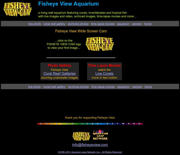 Fisheye View Cam a Live Camera Recording Corals and O Graphic Fisheye View Cam a Live Camera Recording Corals and O Graphic