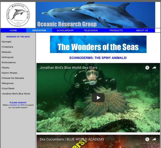 Echinoderms the Spiny Animals Handout