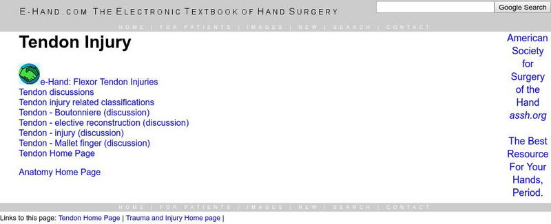 E Hand: Tendon Injury Handout E Hand: Tendon Injury Handout