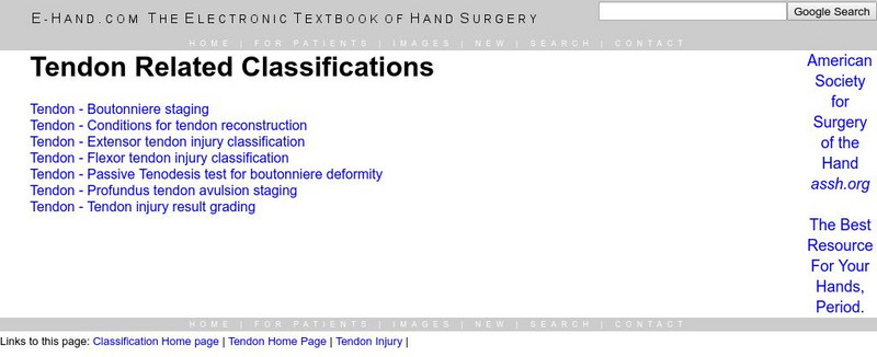 E Hand: Tendon Related Classifications Handout E Hand: Tendon Related Classifications Handout