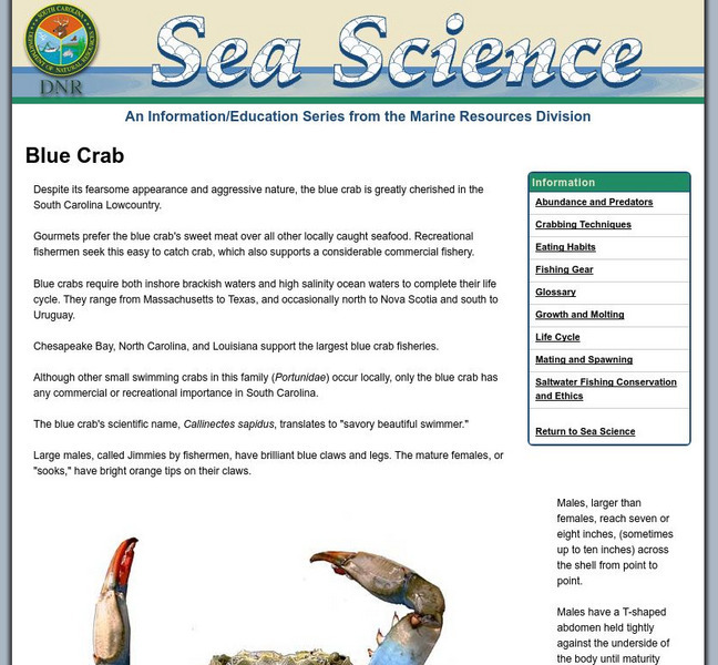 Sc Dnr: Blue Crabs Handout