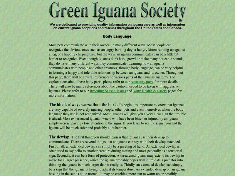 Green Iguana Society Handout
