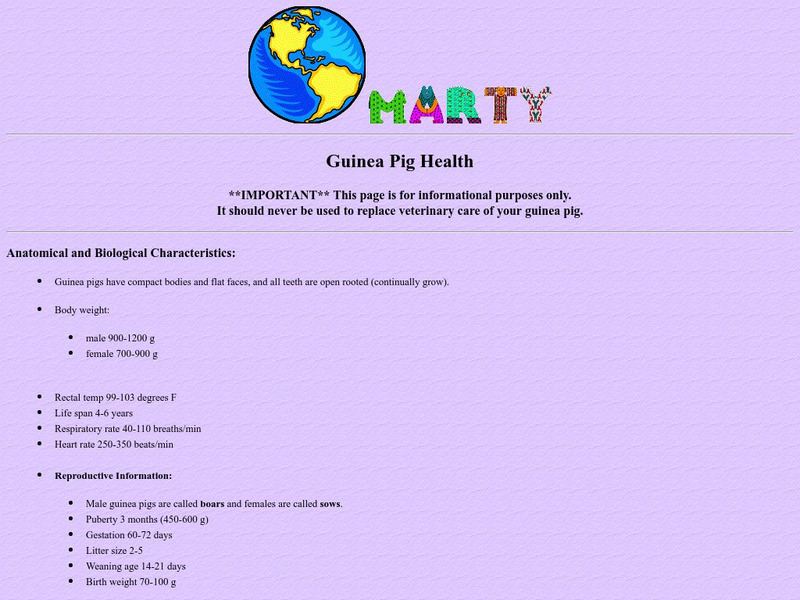 Guinea Pig Health: Marty the Cyber Pig Handout Guinea Pig Health: Marty the Cyber Pig Handout