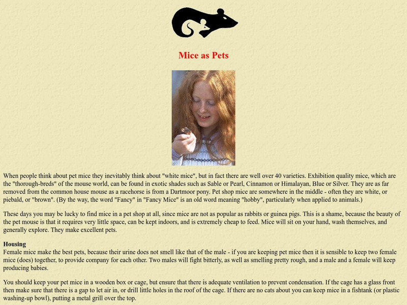 Lscmrc: Mice as Pets Website Lscmrc: Mice as Pets Website