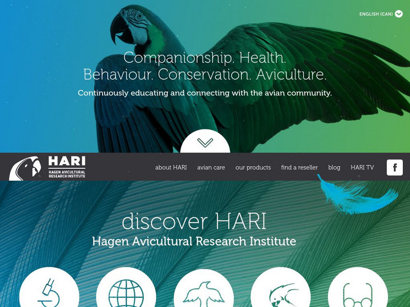 Hari: Tips From the Vet Handout Hari: Tips From the Vet Handout