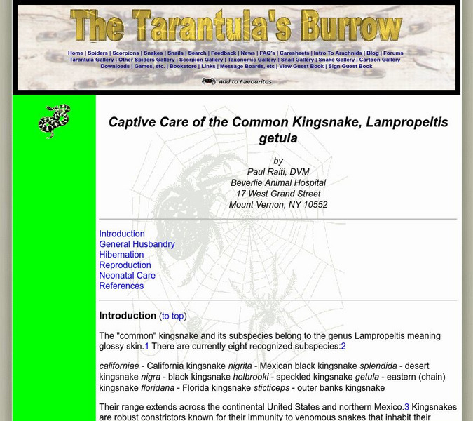 Arachnophiliac: Captive Care of the Common Kingsnake Website Arachnophiliac: Captive Care of the Common Kingsnake Website