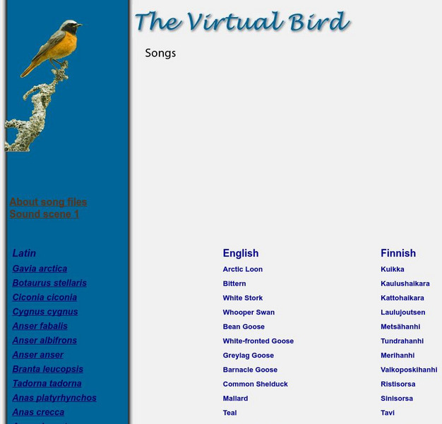 The Virtual Bird: Birdsounds Website The Virtual Bird: Birdsounds Website