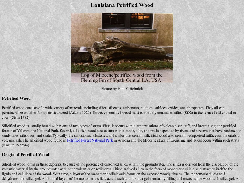 Louisiana Petrified Wood Website Louisiana Petrified Wood Website