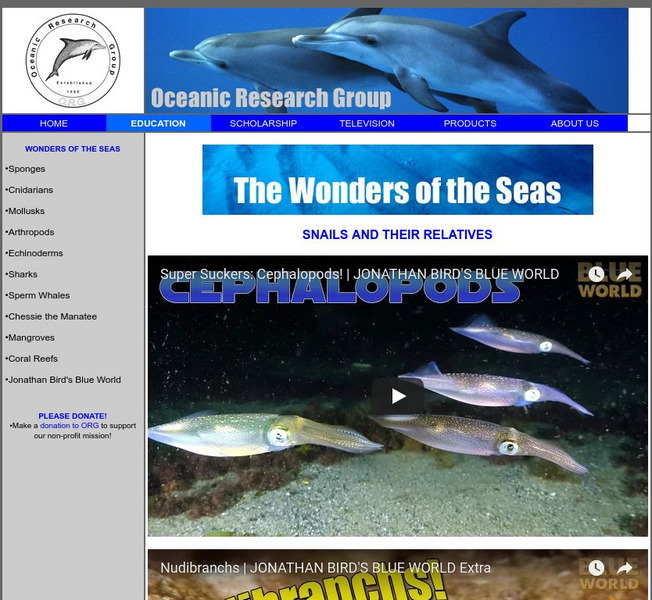 Wonders of the Sea Handout Wonders of the Sea Handout