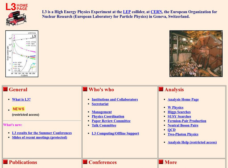 Cern: The L3 Experiment Website