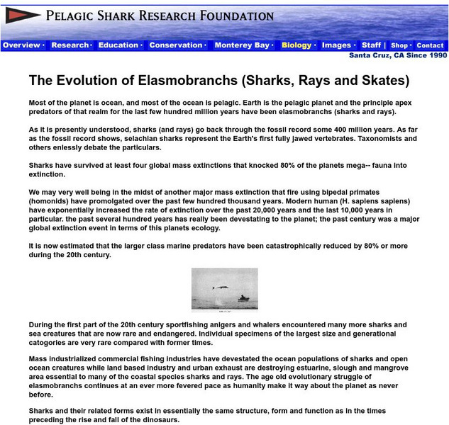 Pelagic Shark Research Foundation: Evolution of Sharks Handout