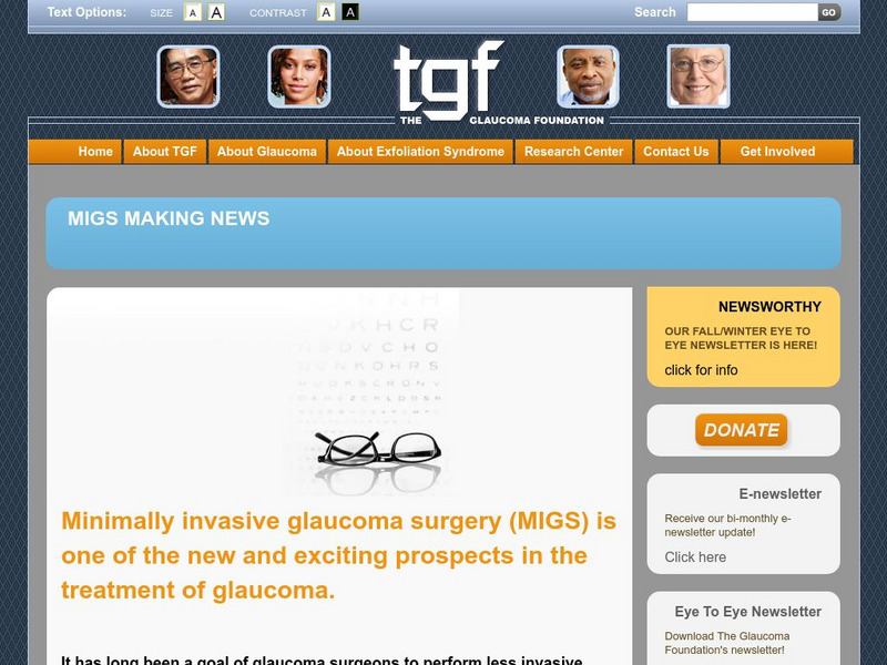 The Glaucoma Foundation: Homepage Website The Glaucoma Foundation: Homepage Website