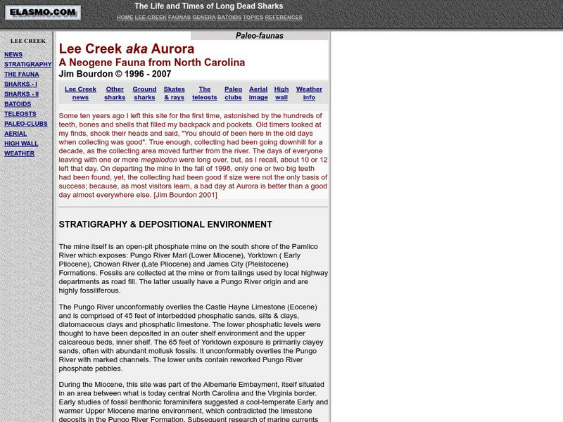 Elasmo: Lee Creek Fauna Article Elasmo: Lee Creek Fauna Article