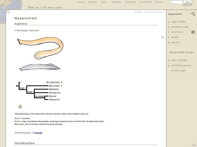 University of Arizona: Hagfish Handout