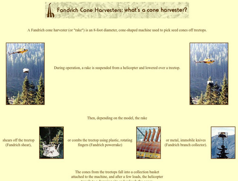 Fch: Fandrich Cone Harvesters Graphic